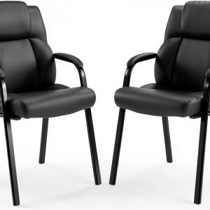 CLATINA Leather Guest Chair Heavy Duty Metal Frame-0